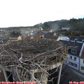 07_30-nest.jpg