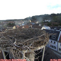07_35-nest.jpg