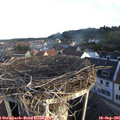 07_40-nest.jpg