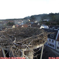 07_45-nest.jpg