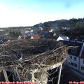 07_55-nest.jpg