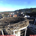 08_00-nest.jpg