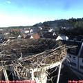 08_05-nest.jpg