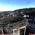 08_10-nest.jpg