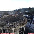 08_15-nest.jpg
