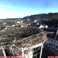 08_20-nest.jpg