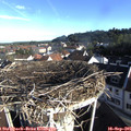 08_25-nest.jpg