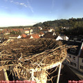08_30-nest.jpg