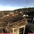 08_40-nest.jpg