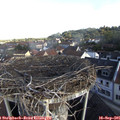 08_45-nest.jpg