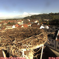 09_10-nest.jpg