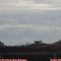 09_20-mast.jpg