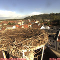 09_20-nest.jpg