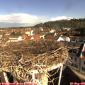09_30-nest.jpg