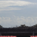 09_35-mast.jpg