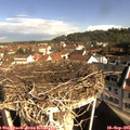 09_35-nest.jpg