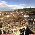 09_40-nest.jpg