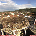 09_45-nest.jpg