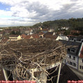 10_10-nest.jpg