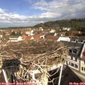 10_20-nest.jpg