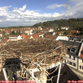 10_25-nest.jpg