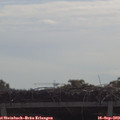 10_30-mast.jpg