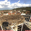 10_30-nest.jpg