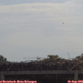 10_35-mast.jpg