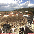 10_35-nest.jpg
