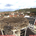 10_40-nest.jpg