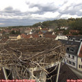 10_45-nest.jpg