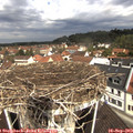 11_05-nest.jpg