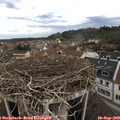 11_10-nest.jpg