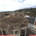 11_15-nest.jpg