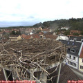 11_35-nest.jpg