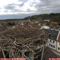 11_50-nest.jpg
