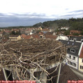 12_05-nest.jpg
