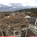 12_15-nest.jpg