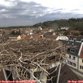12_20-nest.jpg