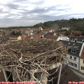 12_25-nest.jpg