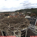 12_30-nest.jpg