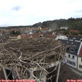 12_35-nest.jpg