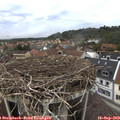 12_40-nest.jpg