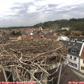 12_45-nest.jpg