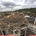 13_05-nest.jpg