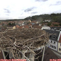 13_10-nest.jpg