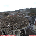 13_15-nest.jpg