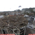 13_25-nest.jpg