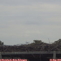 13_35-mast.jpg