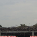 13_50-mast.jpg